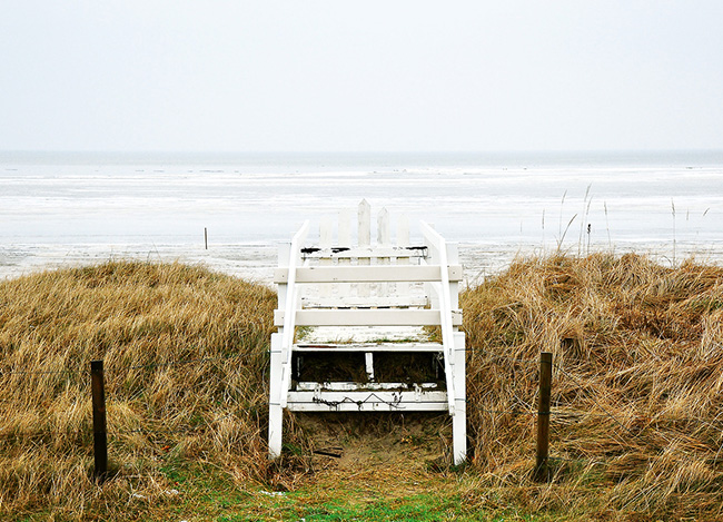 引领价值创造的cc网页端
